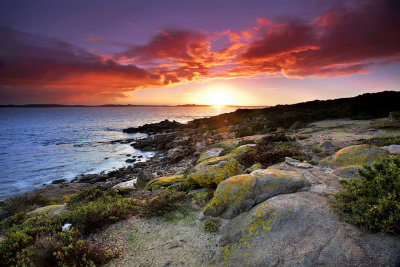 Point Ellen Sunrise.jpg