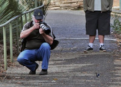Andy and Superb Fairy Wren.jpg