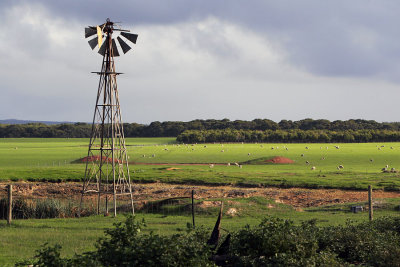 Flinders Chase Farm.jpg