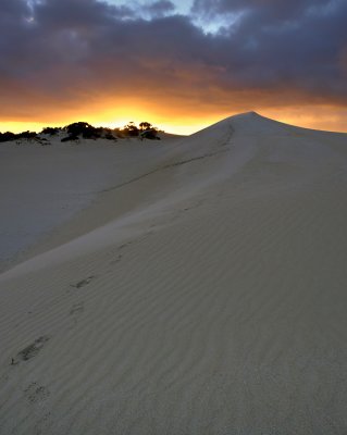 Little Sahara_5.jpg