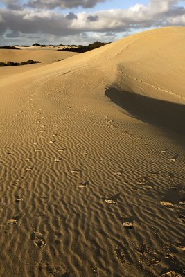 Little Sahara_7.jpg