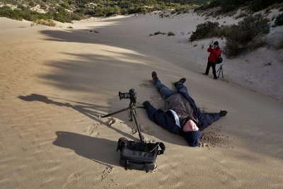 One Too Many.jpg