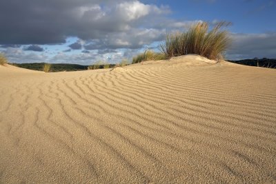 Little Sahara_13.jpg