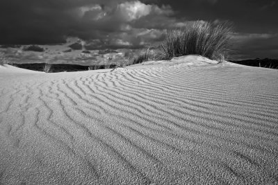 Little Sahara_13_bw.jpg