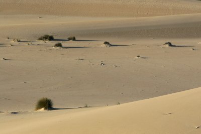 Little Sahara_15.jpg