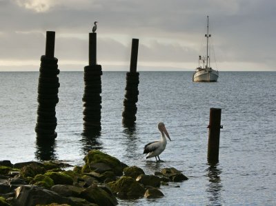 Nepean Bay_14.jpg