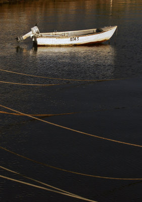 Nepean Bay_12.jpg