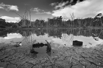 Duck Lagoon_3.jpg