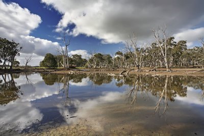 Duck Lagoon_8.jpg