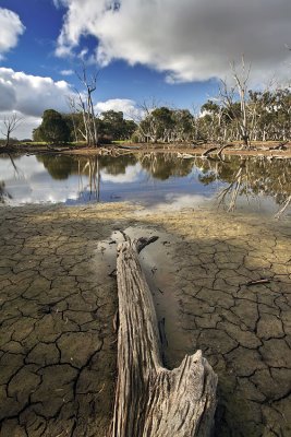 Duck Lagoon_9.jpg