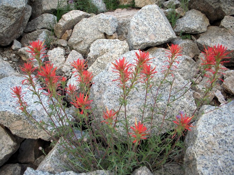 DSCN0391.jpg