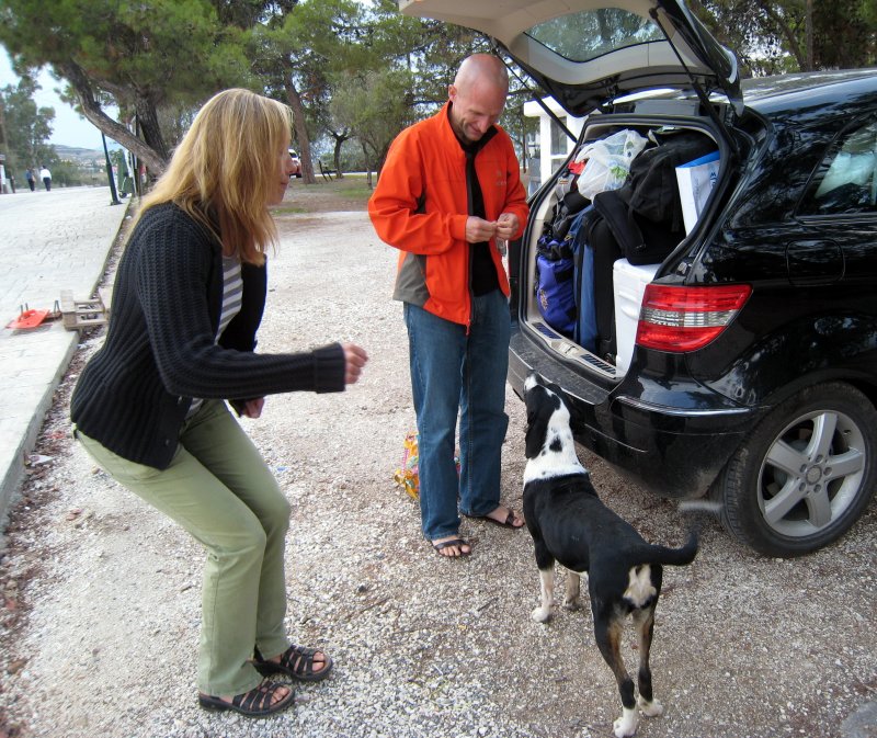 wag more, bark less.  Allison plays with the happy dog that is eating out leftover food.