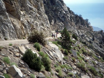 Jorge Pacheco and his crew approach first