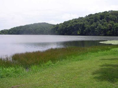 Lake Wedington