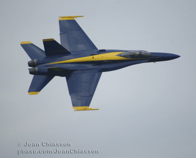 Blue Angels F/A-18 Hornet