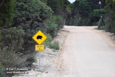 Aussie road signs