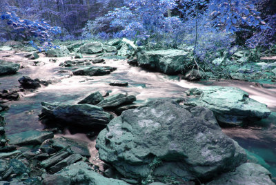 KALIEDOSCOPE NATURE