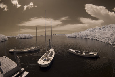 boats