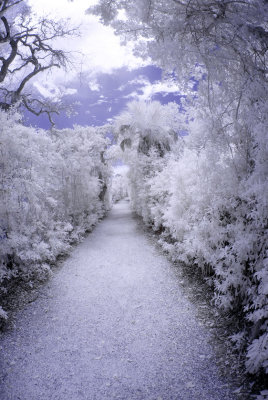 walkway