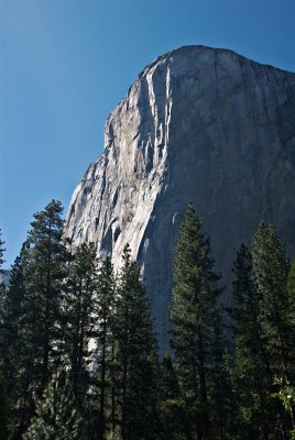_DSC0008.jpg