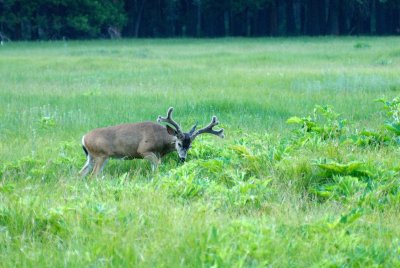_DSC0030.jpg
