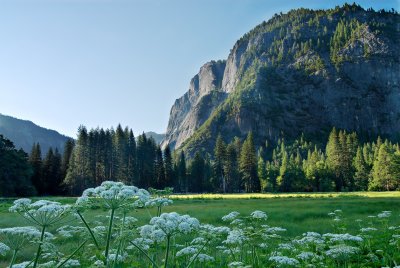 _DSC0126.jpg