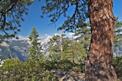 _DSC0173.jpg