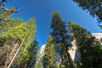 _DSC0136.jpg