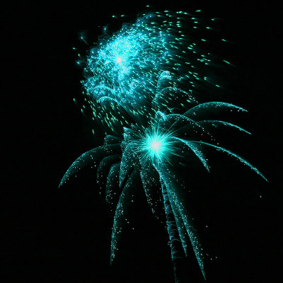 feux d'artifices 2008