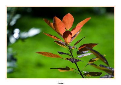 le parc floral