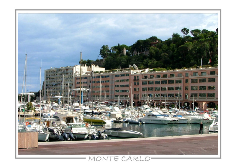 The Harbour