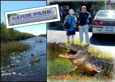 The Everglades- Gator Park