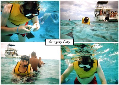 Nick swimming with stingray