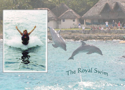 The Royal Swim