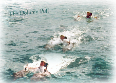 The Dolphin Pull