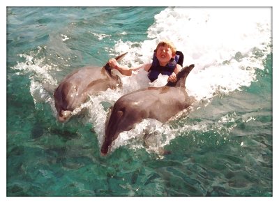 Josh being pulled by the dolphins