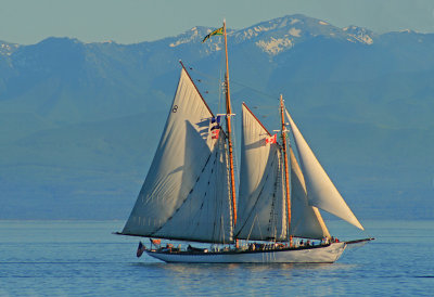 g5/81/715781/3/100029942.omNcIvAv.jpg
