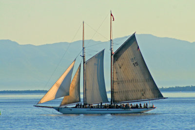 Various Other Tall Ships