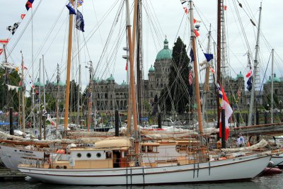 Mycia at Victoria's Inner Harbour