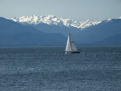 Olympic Mountains and Sailboat