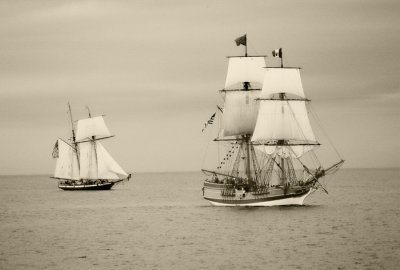 Lynx and Lady Washington