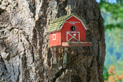 Bird House - Green Acres Resort