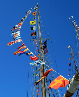Flags in the Breeze