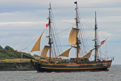 g5/81/715781/3/99844927.J1XmU3ZV.jpg