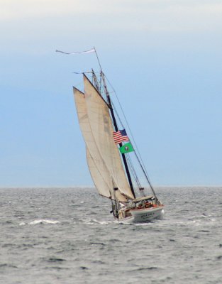 g5/81/715781/3/99849680.nyJSkiPv.jpg