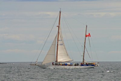 g5/81/715781/3/99929769.A16SJRjK.jpg