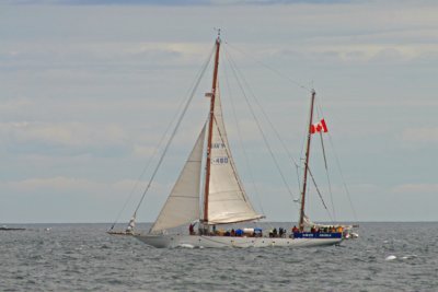 HMCS Oriole