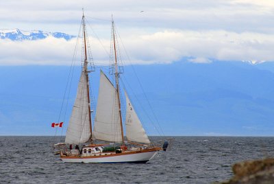  Unidentified Sailboat  3