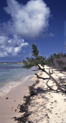 Aruba beach at the south-west corner