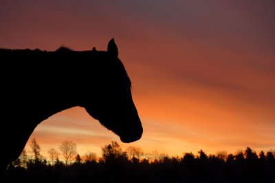 Greeting A New Day